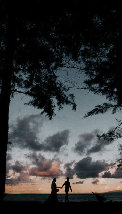 お客様レポート